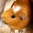 fof_ryo's profile image