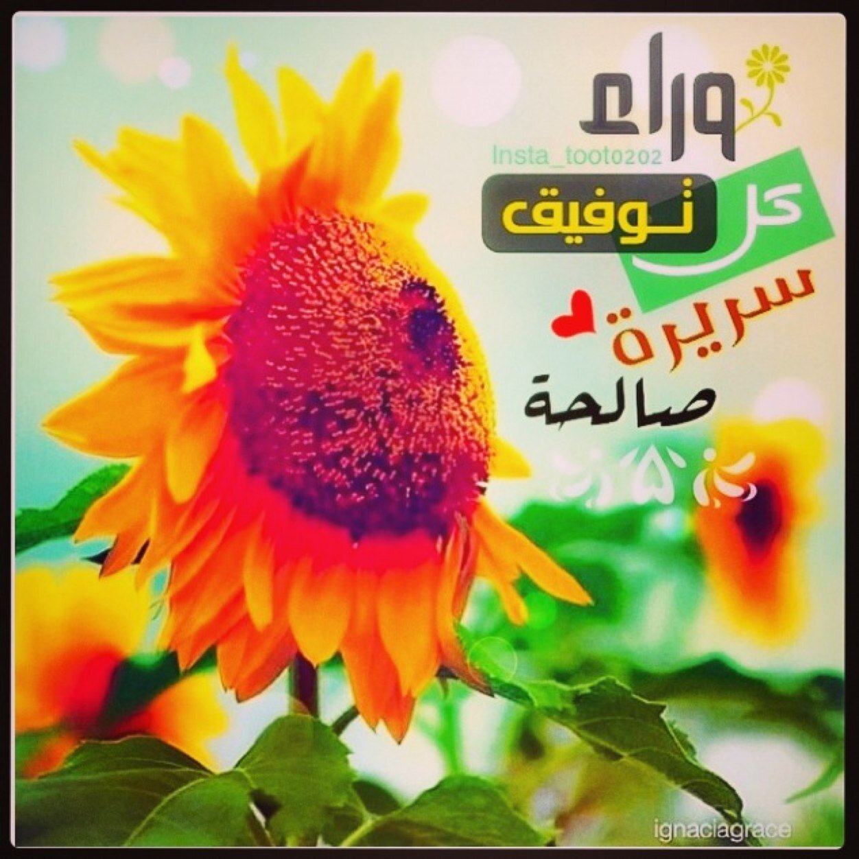 آللهم آني آعوذ بك آن آكون جسرآ يعبر آلنآس عليه آلى آلجنةة ثم يلقى به في آلنآر