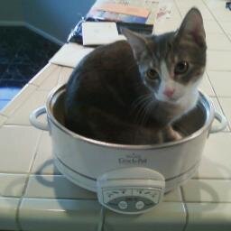 rudy50merc's profile picture. work hard, play hard