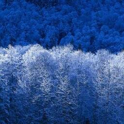 kentgarcia11's profile picture. 