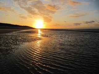 Nieuws van de Wadden