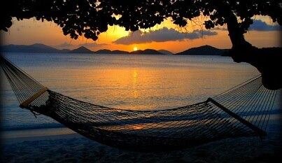 JRobrob70's profile picture. 