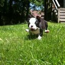 Dan Pierce - @instantkarma304 - Twitter