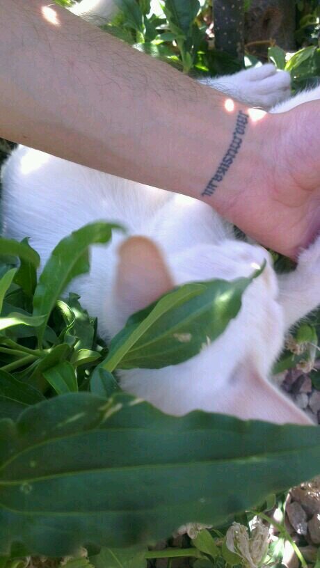 abelilloOoo's profile picture. JAIO.MUSIKA.HIL