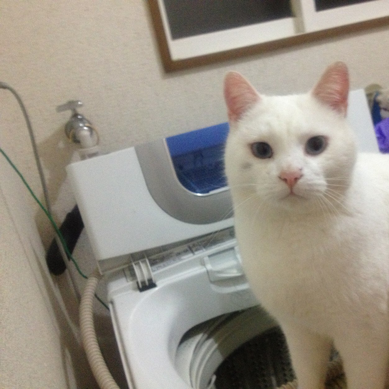 0jx61f3438p106x's profile picture. 