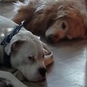 Barb Snider - @sniderb1944 - Twitter