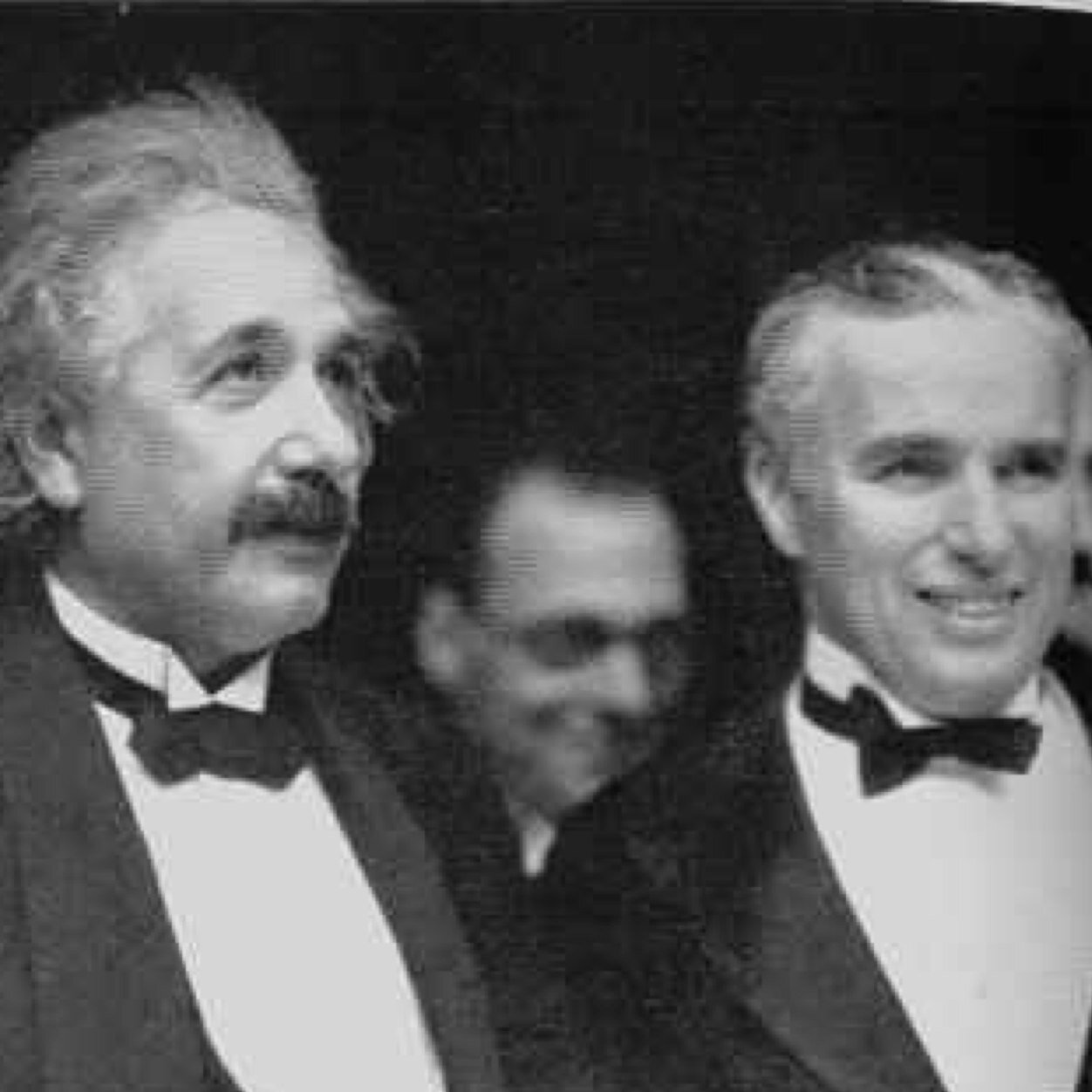 WillShepCoop's profile picture. 