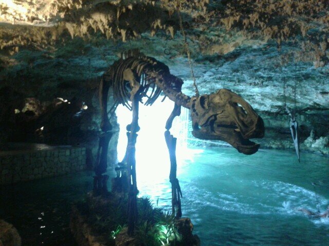 Rubeno2000's profile picture. 