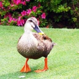 赤ちゃんだった息子も、もう小学生ヽ(*´∀｀)ノ
「おなかすいた～！」と帰ってくる子供たちに手作りのおやつを毎日作ってあげたいな。キャッチボールをしたり公園で遊んだり・・・。そんな夢のような日々を夢見てます。やっぱり共働きはつらいですよね(´；ω；｀)