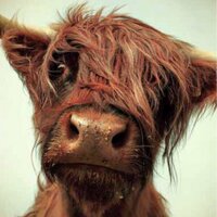 Line Grenier (@greli11) 's Twitter Profile