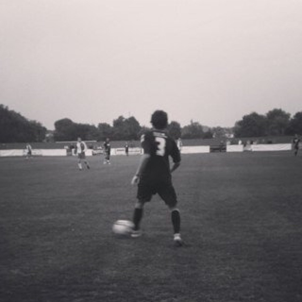 Ollie Harfield (Olllieharfield) Twitter