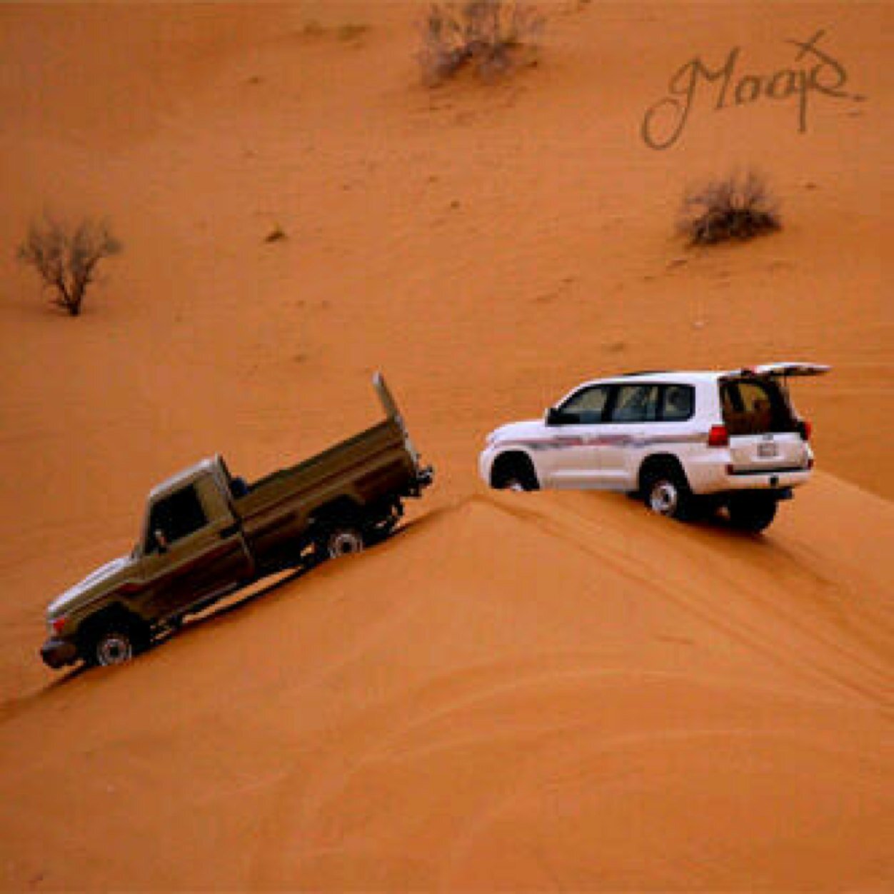 bsam1231's profile picture. لاتنسى ذكر الله