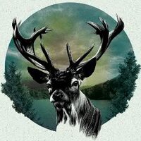 Reinis Liepa (@reinis_liepa) Twitter profile photo