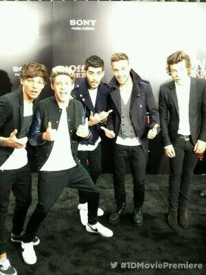 I LOVE ONE DIRECTION! I'M DIRECTIONER BOY! :)