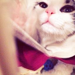 kinakohiro's profile picture. それなり元気に職業絵描き継続中。アカウント放置状態で大変申し訳ありません。フォローはずしご自由にお願いします。（2019年1月）