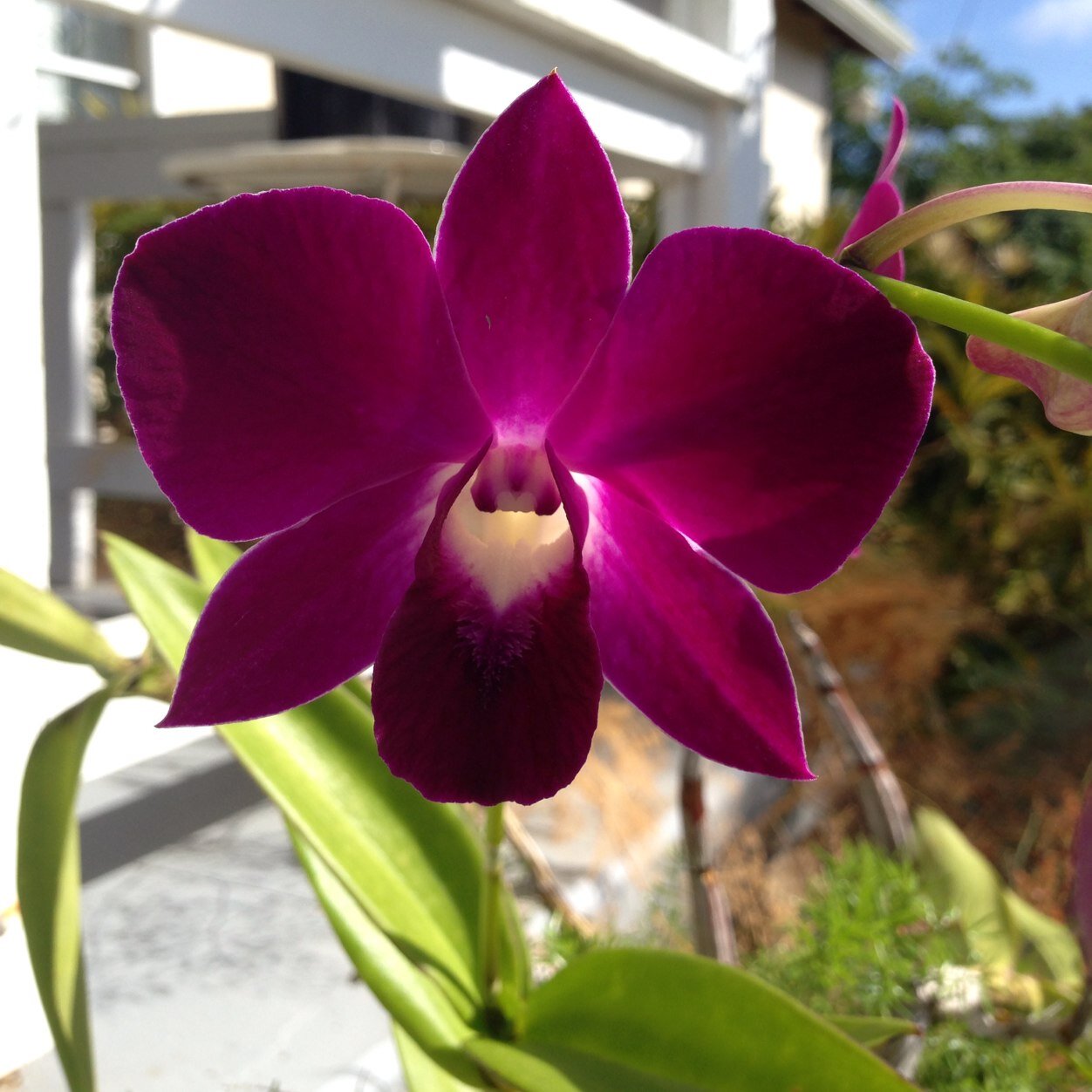 ayo_dew's profile picture. Fan of Life & Love