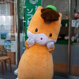 日々試行錯誤