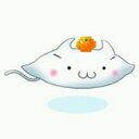 こーた (@0323kouta) Twitter