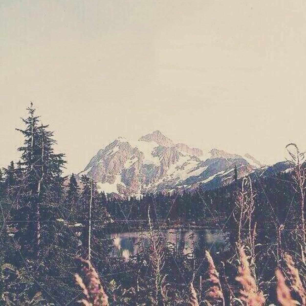 @__i7aneen حسابي الثاني