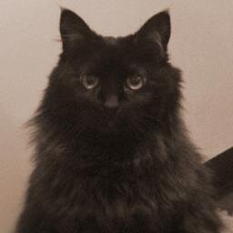 猫依存症のダウナー系社会人。妻1人・猫2匹と生活。元DTP制作関係。果報は寝て待てが座右の銘。古代中国文字（甲骨文字、金文など）、浮世絵、エジプト、廃墟を好む。アイコン画像は2013年に永眠した先代黒猫（享年20歳8カ月）