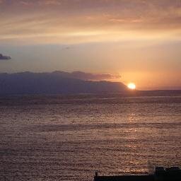 ellyanoniem's profile picture. 