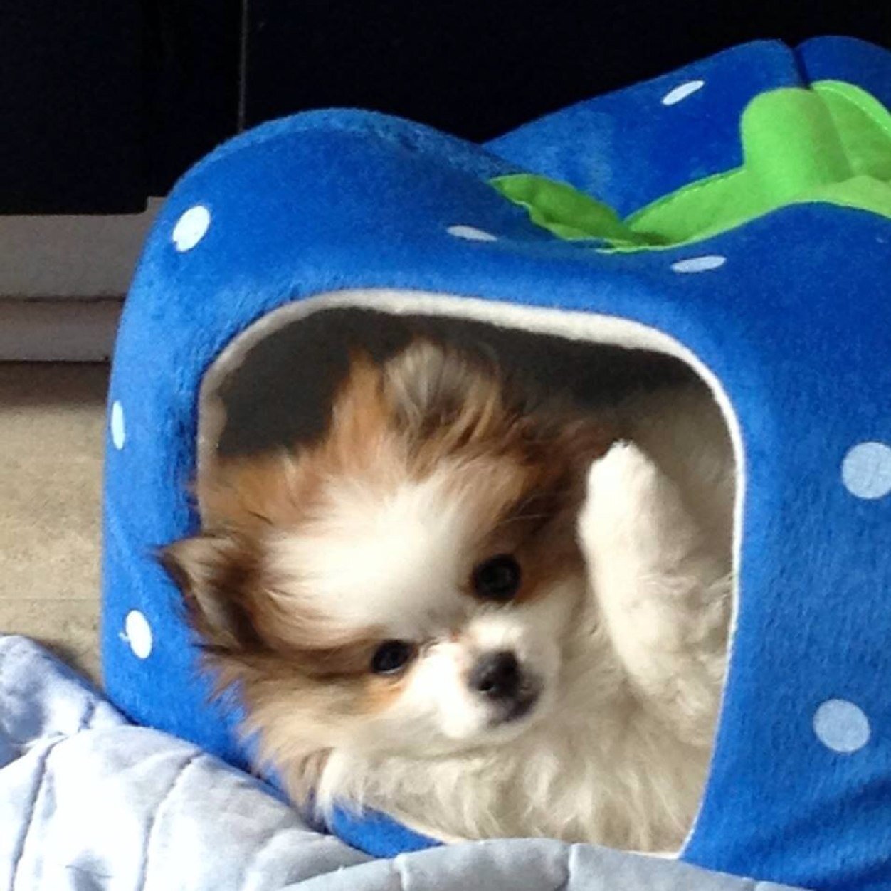 lmayfield's profile picture. 