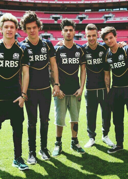 Felicidad en estado directioner. Tus héroes llevan capas, los míos suelen llevar micrófonos. Si puedes soñarlo, puedes hacerlo.