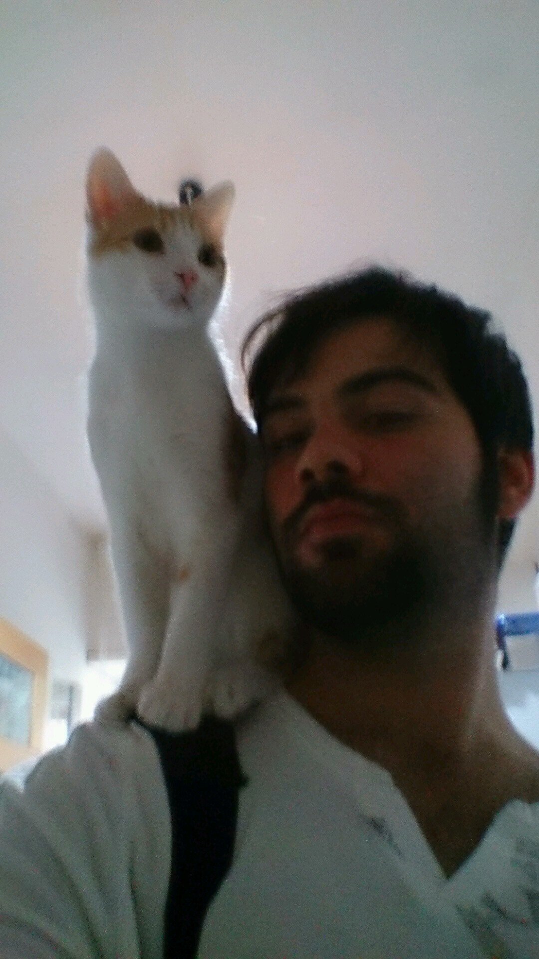 torch5k5's profile picture. Eterno studente, curioso del mondo da cui sono attualmente perplesso