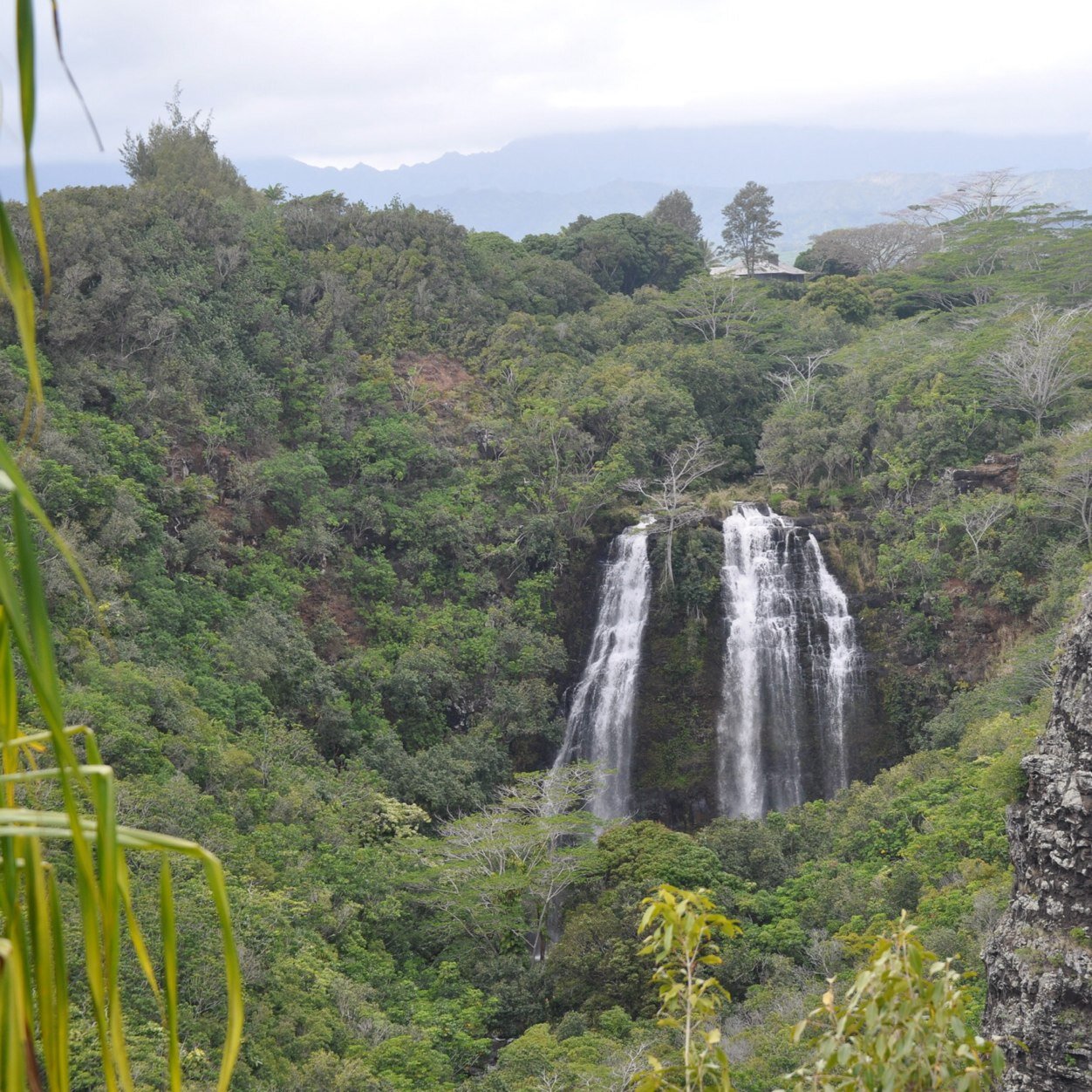 kokopelligirl66's profile picture. GIVEGET