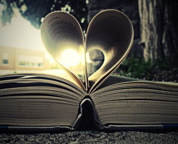 Aqui você encontrar trechos e frases da melhor coisa que o homem já inventou : Livros ♥