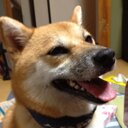 kojikoji3 (@0120838838) Twitter