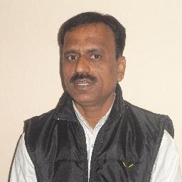 Tourist Guide, Travel Agent, Foreign Exchange& journalist.