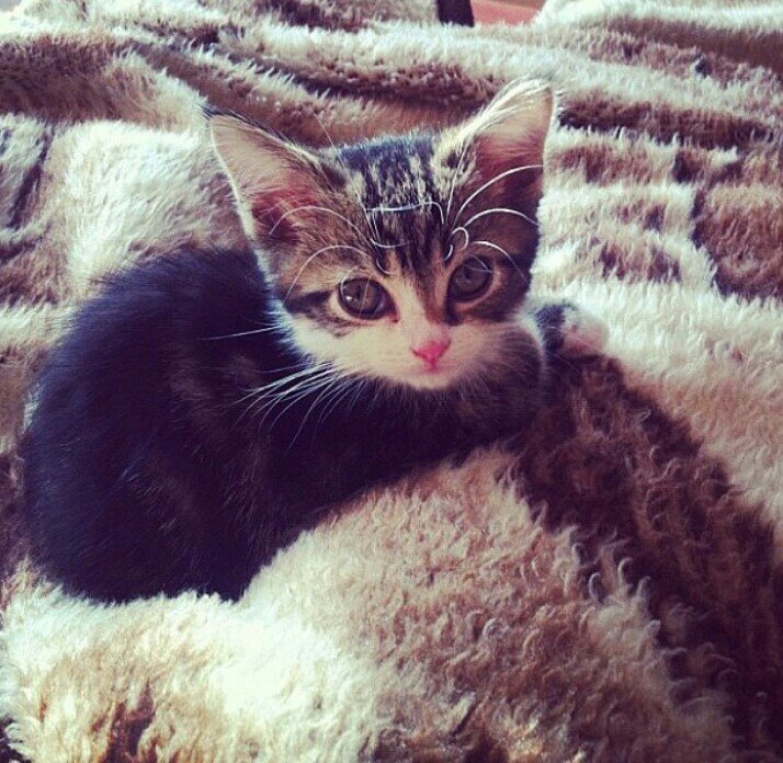 swees__x6x's profile picture. استغفر الله وأتوب أليه