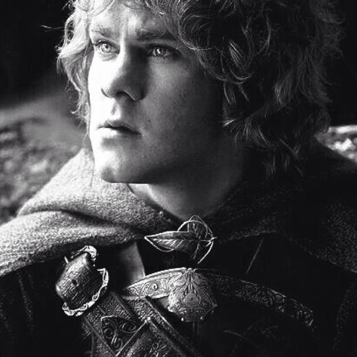 Master of Buckland, Swordthain of the Shire, Esquire of Rohan. Kind of addicted to pipe weed. [RP, PARODY]