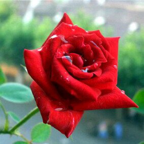 Don't give up on fate, a fate that must be surrendered to us due to our perseverance.Life is a choice