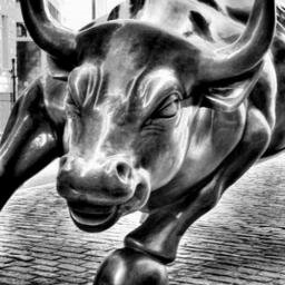 trader