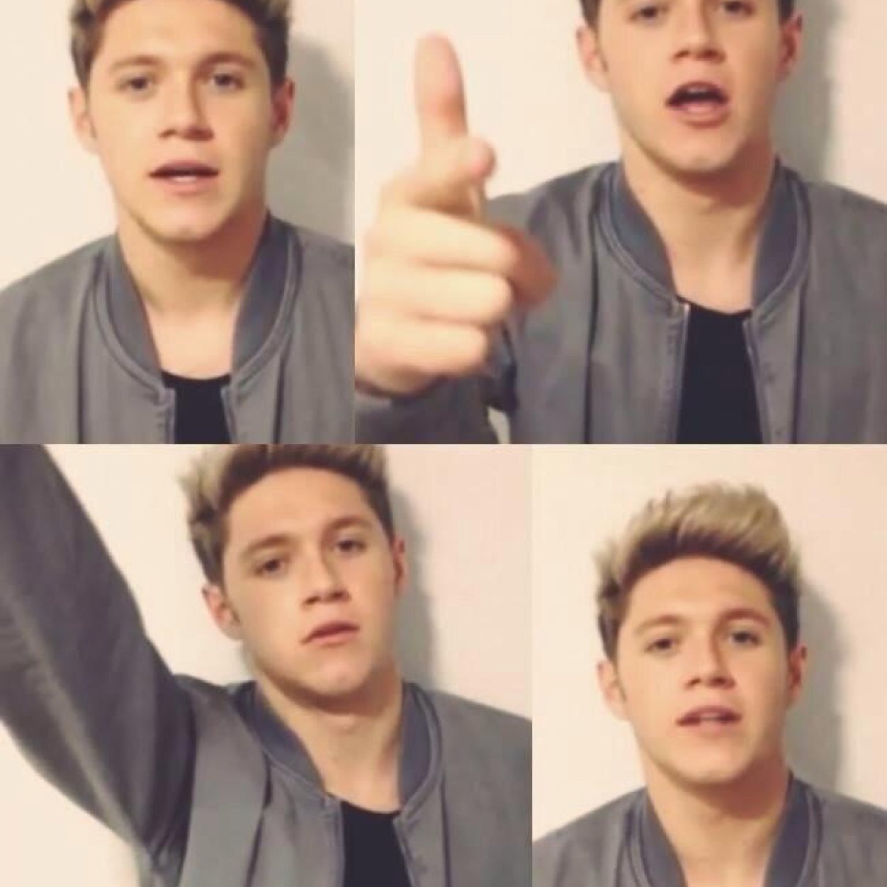 HoranBooBear's profile picture. 