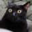 CarapanCatalan's profile image