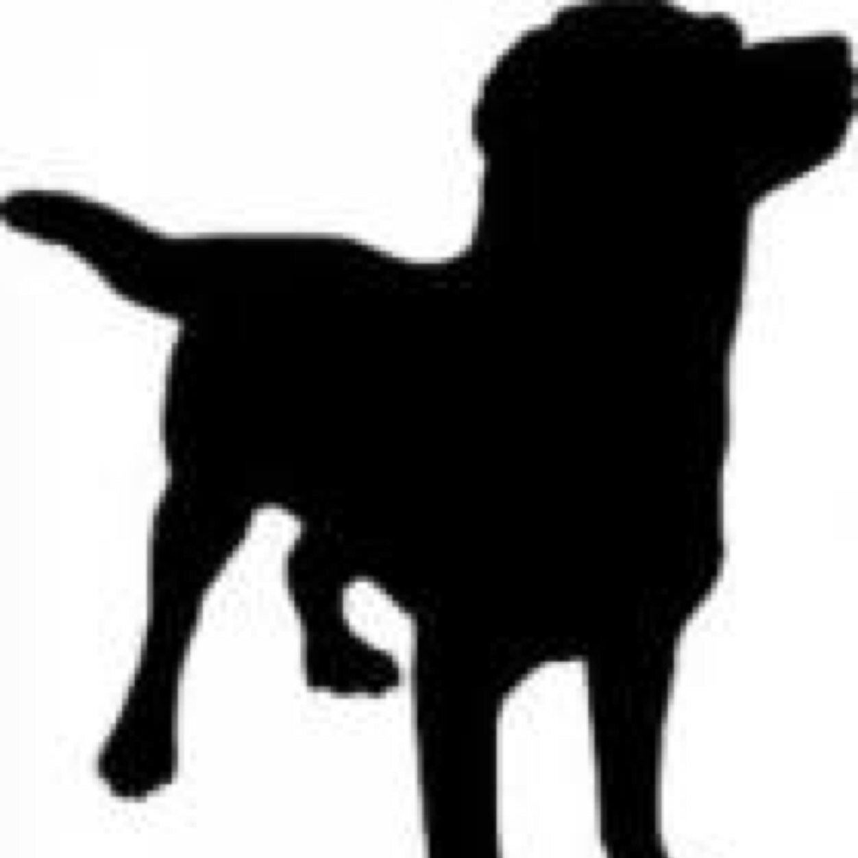 knjneit1103's profile picture. 