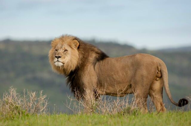 THOKOZA74812877's profile picture. A journey of a thousand miles begin with a single step!