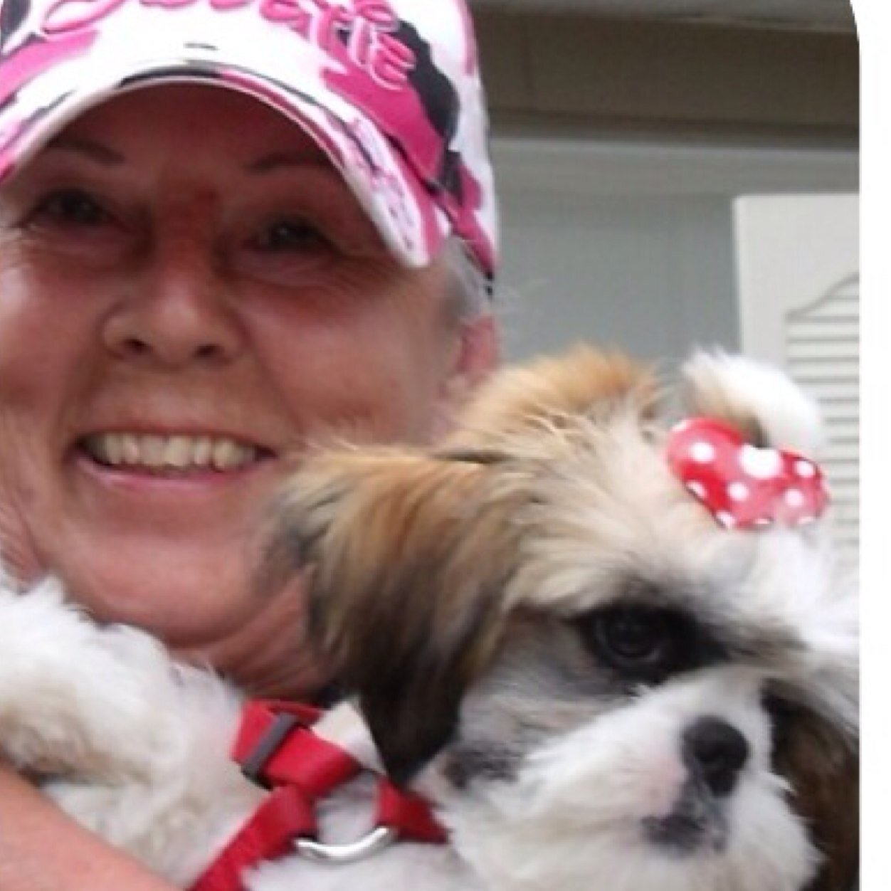 Grandmother of 6 and Great Grandmother of 11. Love gardening and baking gluten free breads. Tweeting since 2015