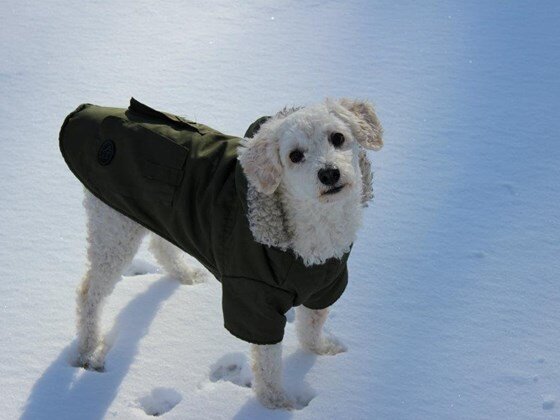 Cody was diagnosed with liver cancer. We're trying to raise $5,000 to pay for surgery. Please help http://t.co/S1mGnots6h