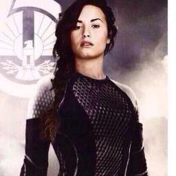 I am a huge fan of the hunger games trilogy.