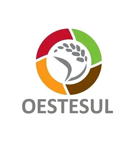 Mais que vender produtos e serviços, vendemos soluções e resultados.