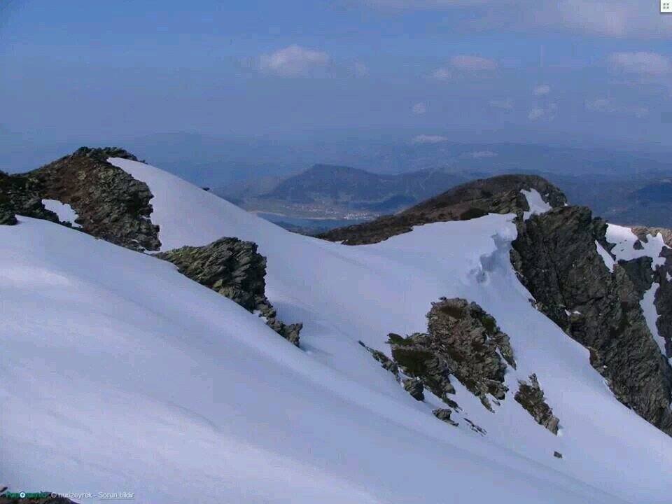 EskiAyse's profile picture. 