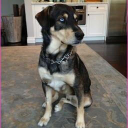 Baylor the dog here.I love my mama Selena and my family.Woof!