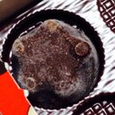 、 (@02151205) Twitter