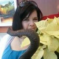 squid00sh's profile picture. #RecruitmentMarketing professional, amateur comedian, wannabe monkey handler. 🐵 Recruitment Marketing Manager @ https://t.co/DXZkTKibZF.