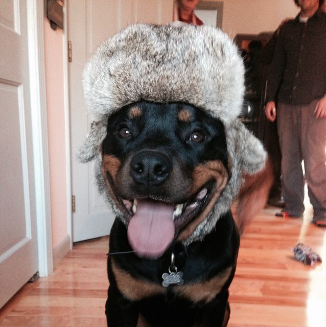 theicepick24's profile picture. Chicken Parm connoisseur