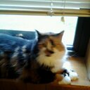 Janice Blackmon - @janiceb1949 - Twitter